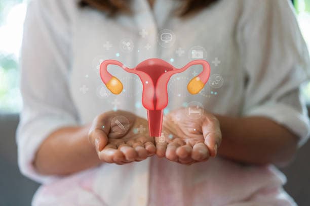 IUI / Intrauterine Insemination